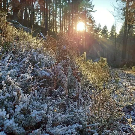 Haus Sonnenhang +seeblick+pool * Reifnitz