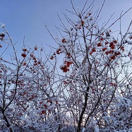 Haus Sonnenhang +seeblick+pool