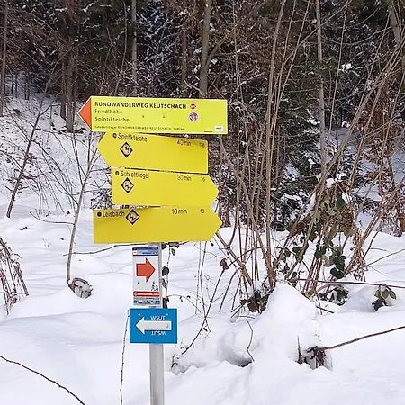 Haus Sonnenhang +seeblick+pool Lejlighed Reifnitz