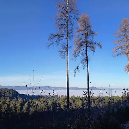 Haus Sonnenhang +seeblick+pool Reifnitz
