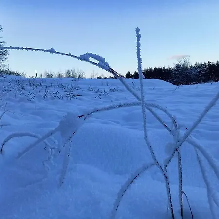 Lejlighed Haus Sonnenhang +seeblick+pool