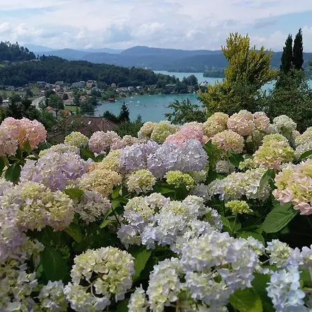 Haus Sonnenhang +seeblick+pool Reifnitz