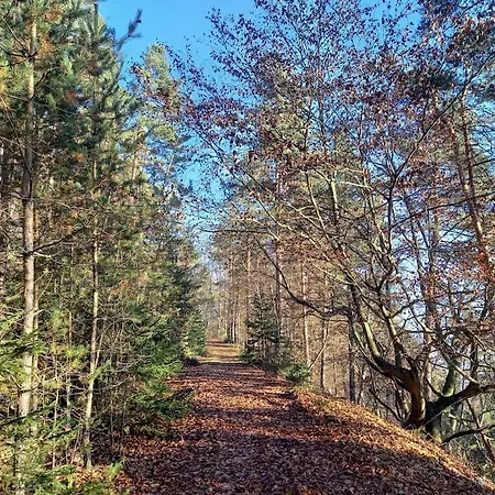 Haus Sonnenhang +seeblick+pool Reifnitz
