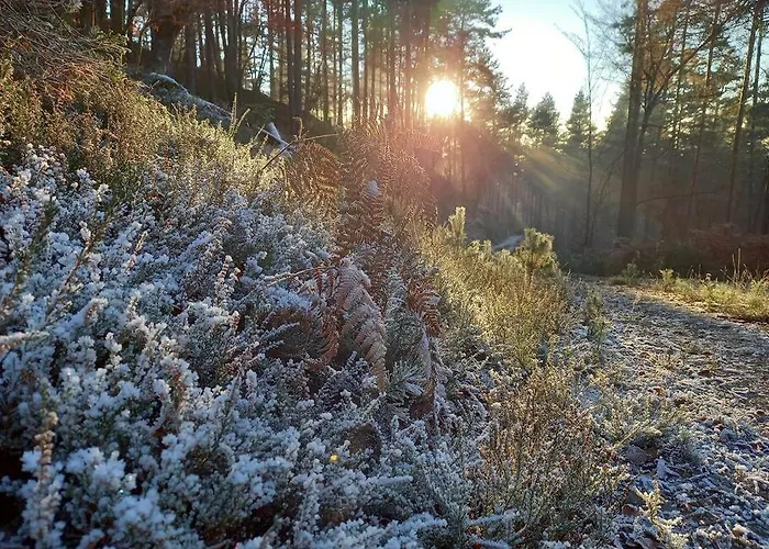 Haus Sonnenhang +seeblick+pool * Reifnitz