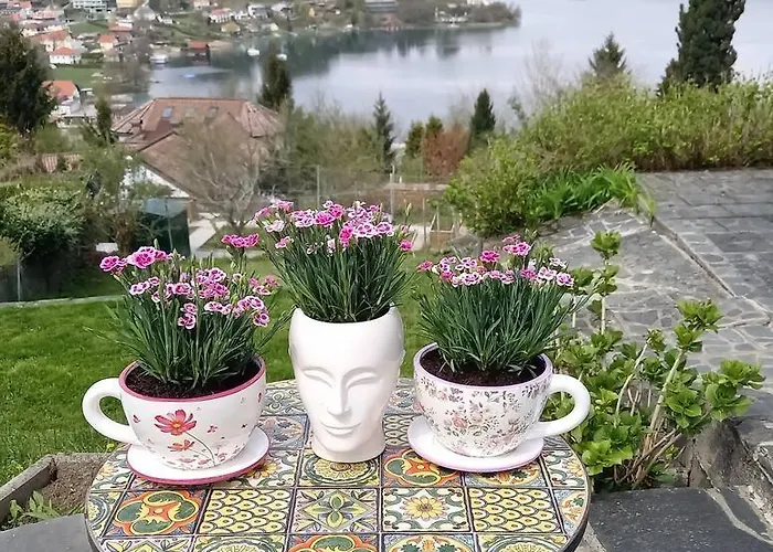 Haus Sonnenhang +seeblick+pool Appartement Reifnitz