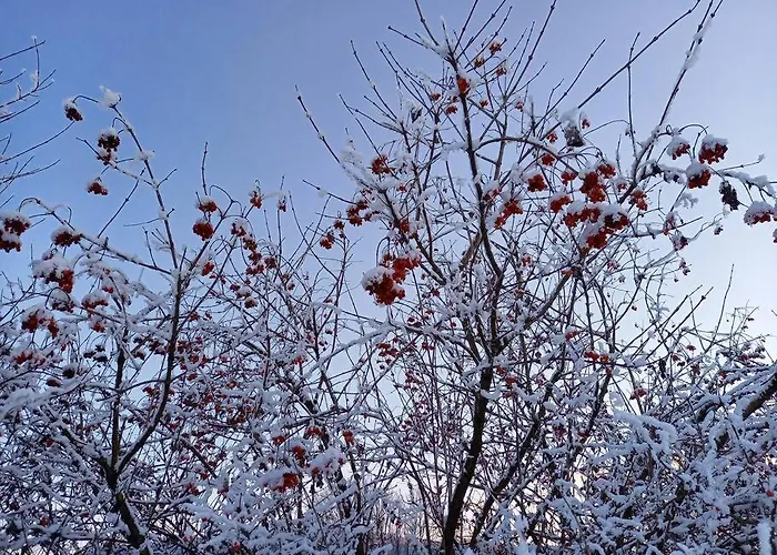 Haus Sonnenhang +seeblick+pool