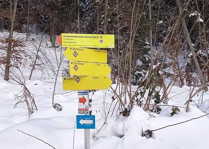 Haus Sonnenhang +seeblick+pool דירה רייפניץ