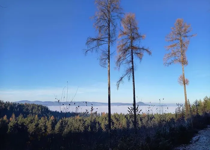 Haus Sonnenhang +seeblick+pool Reifnitz