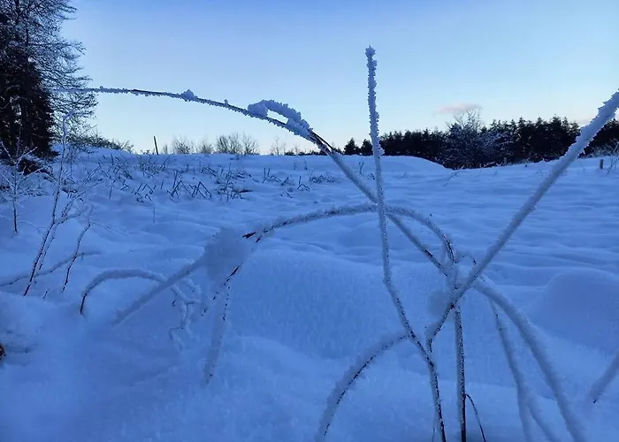 Appartement Haus Sonnenhang +seeblick+pool