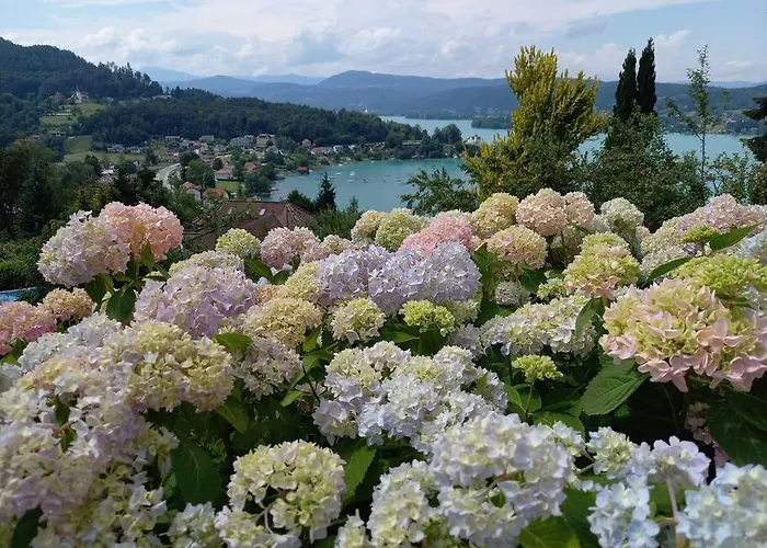 Haus Sonnenhang +seeblick+pool רייפניץ