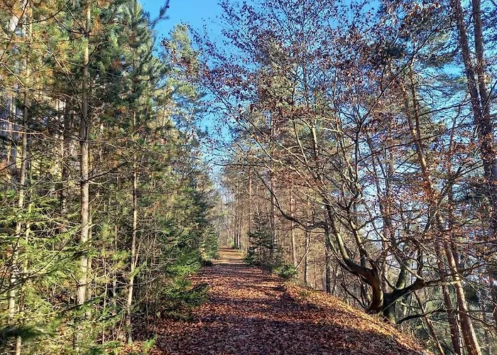 Haus Sonnenhang +seeblick+pool Reifnitz